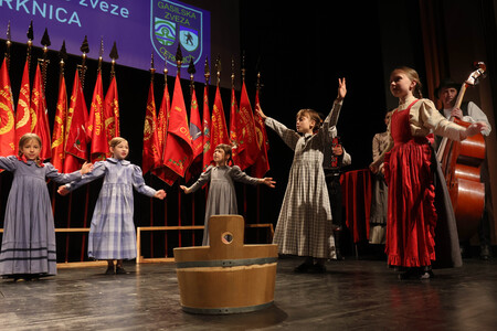 SVEČANA SEJA  GASILSKE ZVEZE CERKNICA 43 FOTO LJUBO VUKELIČ